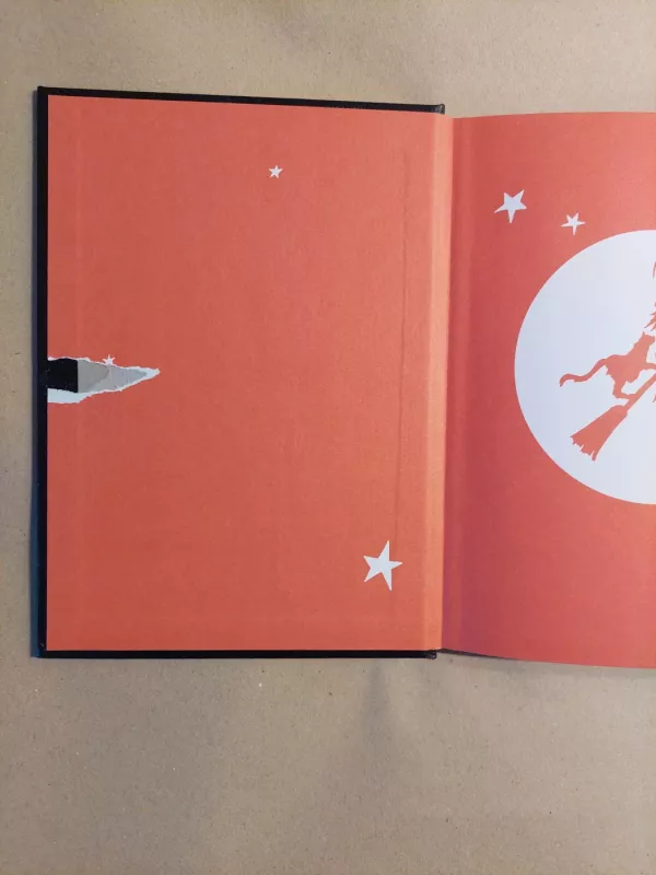 Burtų knyga - Nicola de Pulford, knyga 3