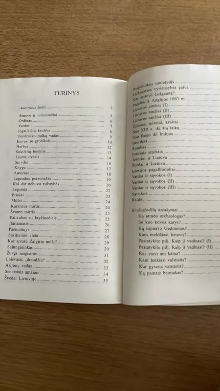 Lietuvos istorijos labirintuose - Vydas Narvidas, knyga 4