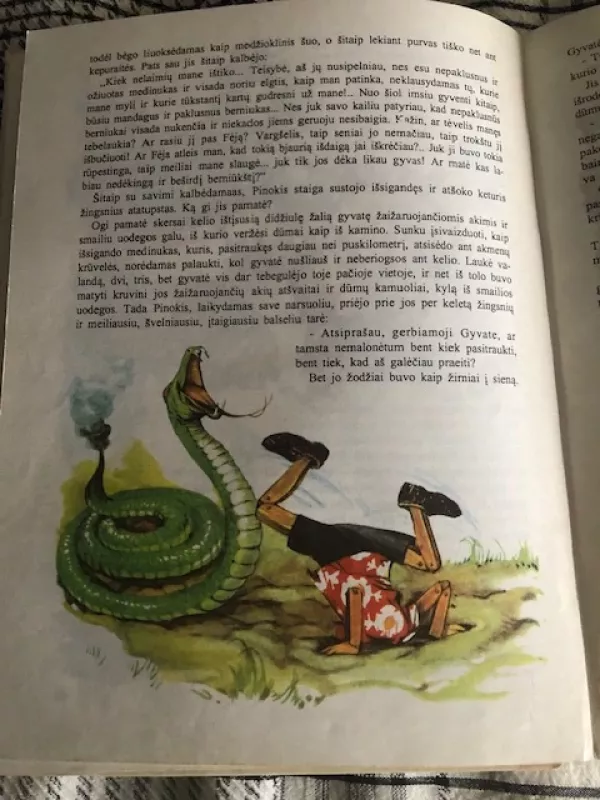 Pinokis (1994) - Karlas Kolodis, knyga 5