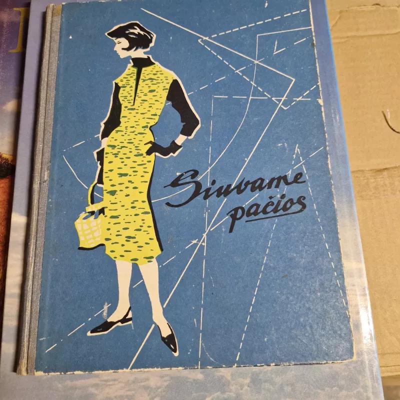 SIUVAME PAČIOS - I. Fridatė, knyga 2