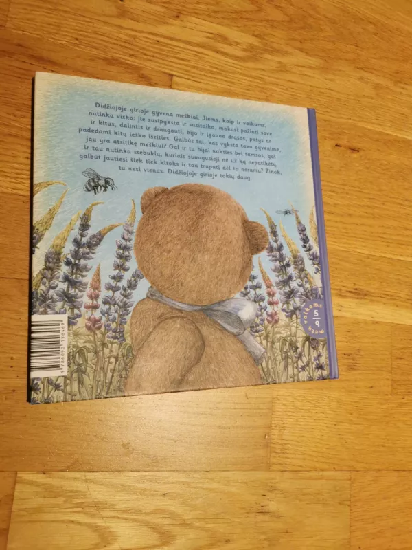 Lubinų labirintas. Geriausios meškių istorijos - Evelina Daciūtė, knyga 3