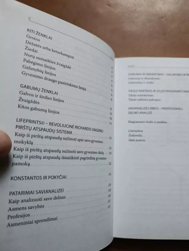 Delno analizė: patarimai priimant svarbius gyvenimo sprendimus - Alice Funk, knyga 5