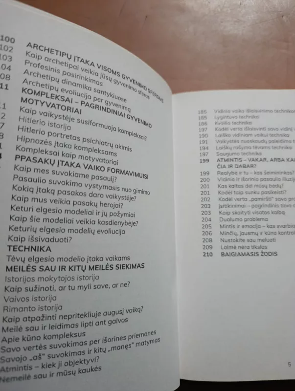 Vaikystės šešėliai - Žydrūnas Sadauskas, knyga 6