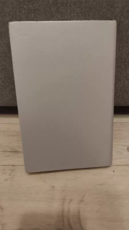 Algimantas - Vincas Pietaris, knyga 4