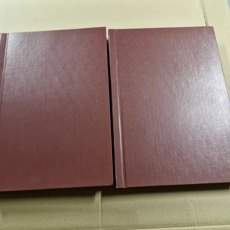 LAIKRAŠTIS XXI AMŽIUS 2004m. - Autorių kolektyvas (įvairūs), knyga 2