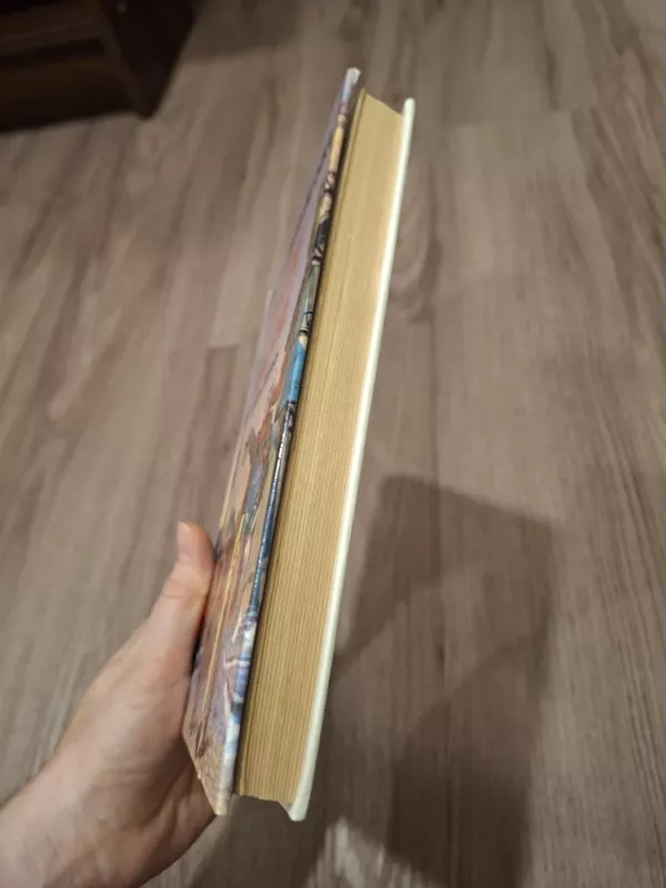 KNYGA  Kalėdų giesmė. Iliustruota didžioji klasika - Čarlzas Dikensas, knyga 6