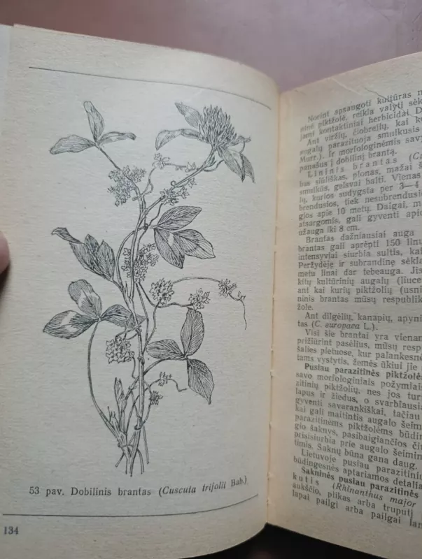 Piktžolės ir herbicidai - J. Monstvilaitė, knyga 6