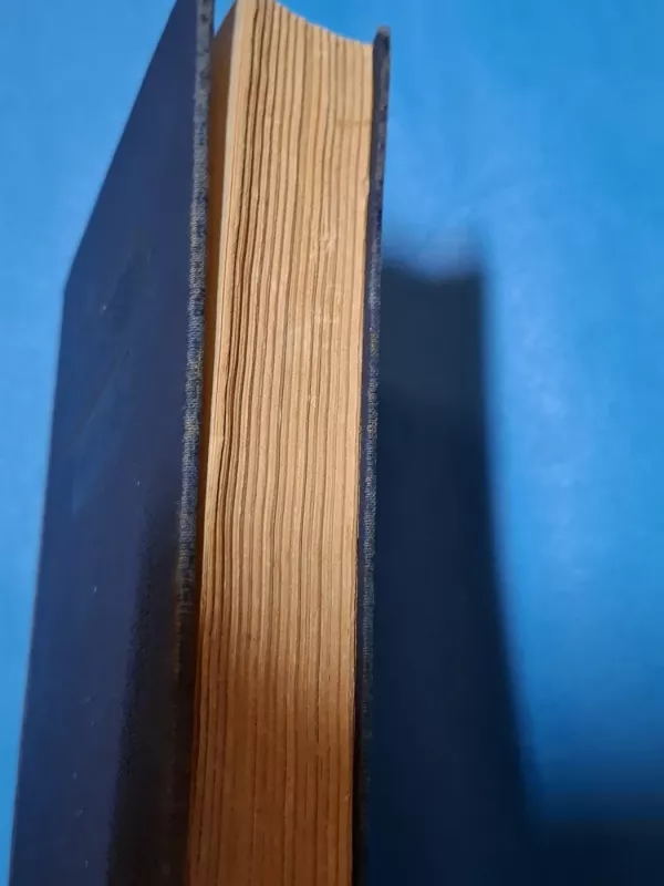 Idiotas I tomas - Fiodoras Dostojevskis, knyga 5