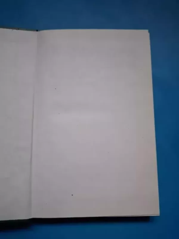 Tarptautinės prekybos terminų aiškinimo taisyklės Incoterms - Autorių Kolektyvas, knyga 6