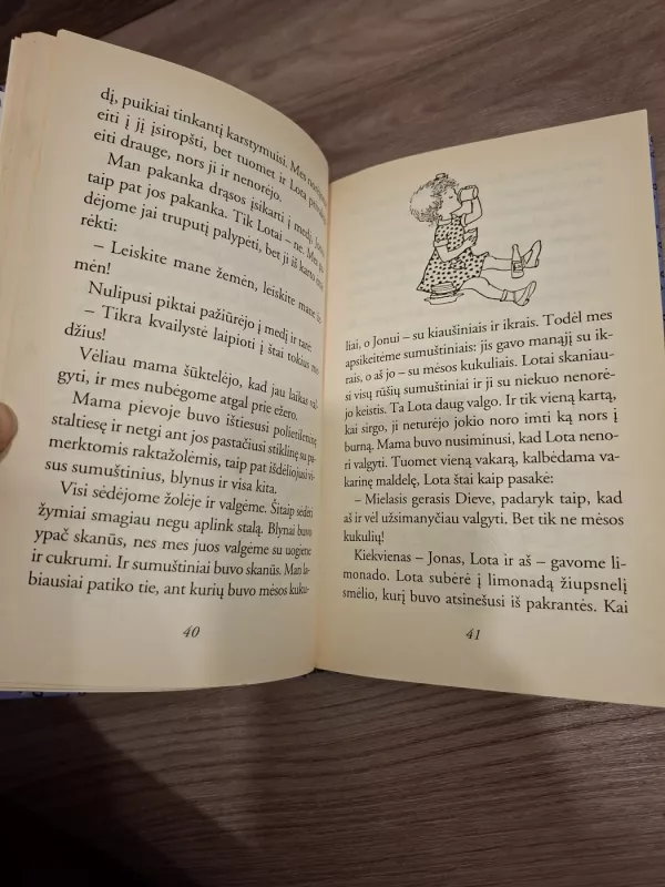 Lota iš pramuštgalvių gatvės - Astrid Lindgren, knyga 4