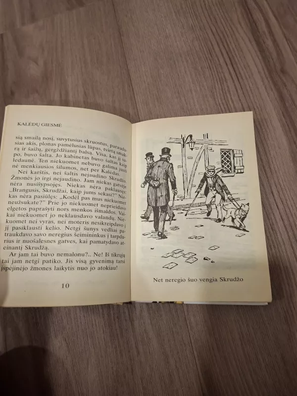 KNYGA  Kalėdų giesmė. Iliustruota didžioji klasika - Čarlzas Dikensas, knyga 3