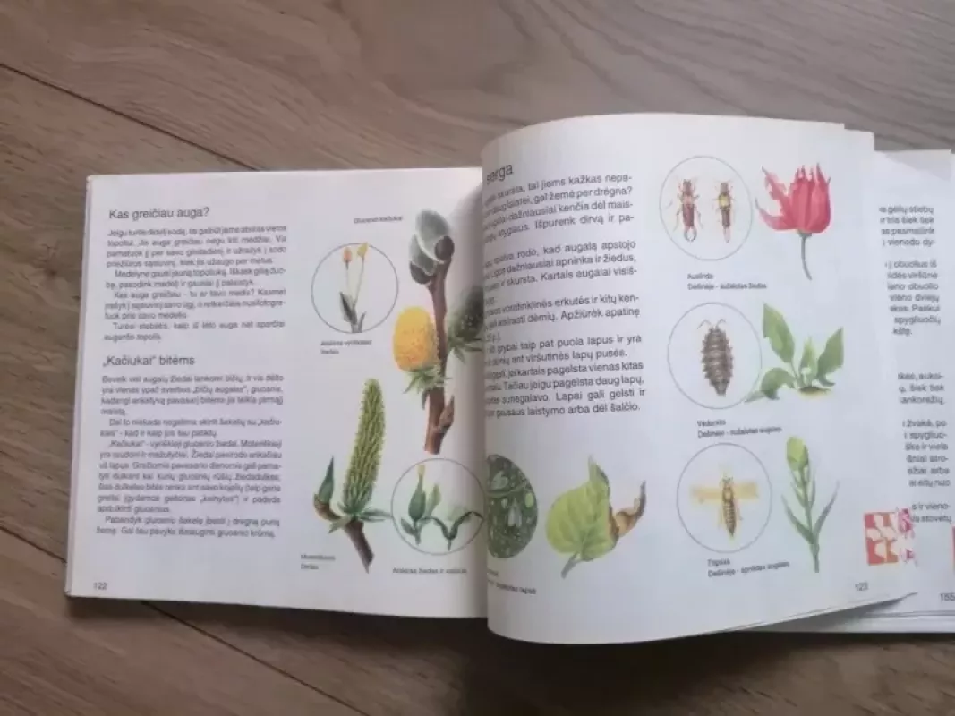 Mano žolynėliai - Elizabetė Mankė, knyga 6