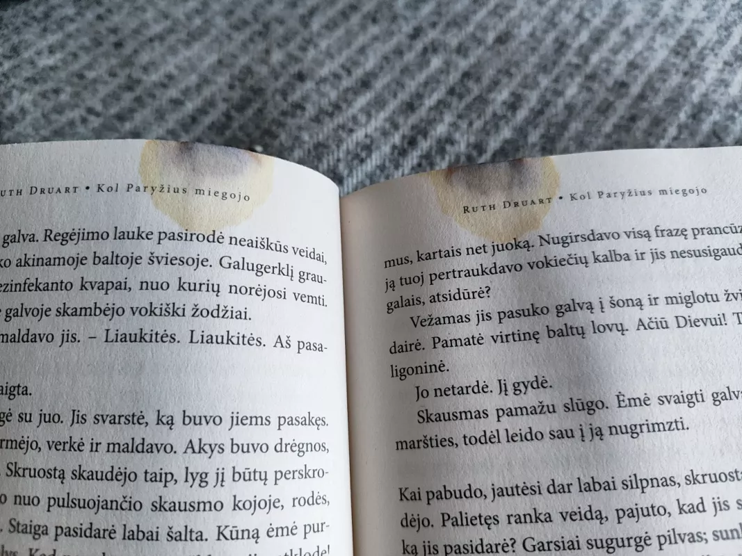 Kol Paryžius miegojo - Druart Ruth, knyga 3