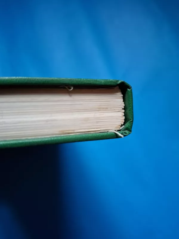 Tarptautinės prekybos terminų aiškinimo taisyklės Incoterms - Autorių Kolektyvas, knyga 3