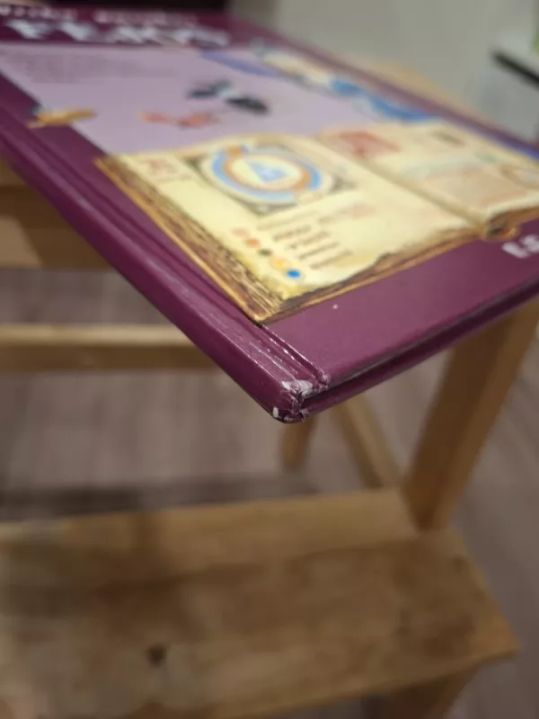 Miško pasakos. Fėjos - Tony Wolf, knyga 5