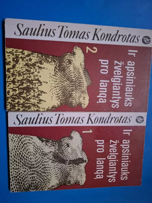Ir apsiniauks žvelgiantys pro langą (2 knygos) - Saulius Tomas Kondrotas, knyga 2
