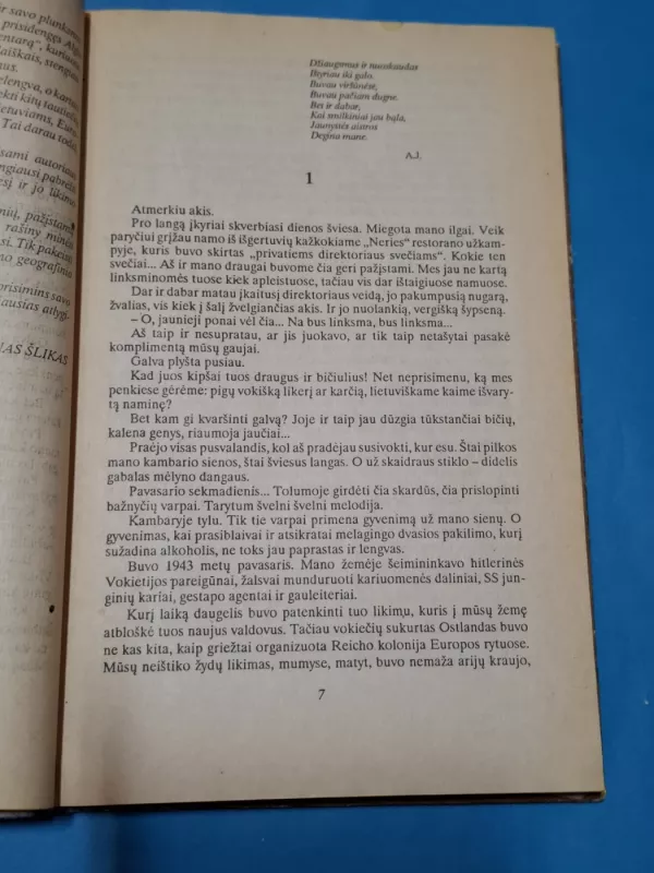 Ir vasarą žūsta žmonės - Gediminas Šlikas, knyga 5