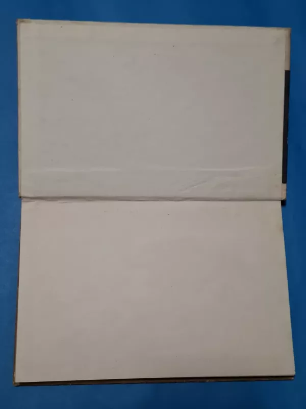 Ir vasarą žūsta žmonės - Gediminas Šlikas, knyga 3