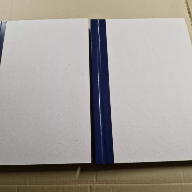 LAIKRAŠTIS XXI AMŽIUS 2005m. - Autorių kolektyvas (įvairūs), knyga 2