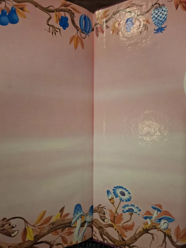 Miško pasakos. Fėjos - Tony Wolf, knyga 3