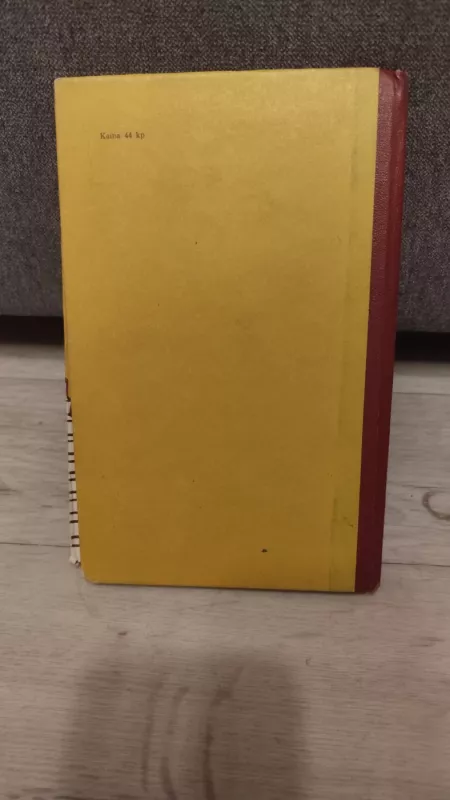 Nepažįstamasis iš trylikto buto arba piktadariai ieško nukentėjusiojo - V. Nestaika, knyga 5