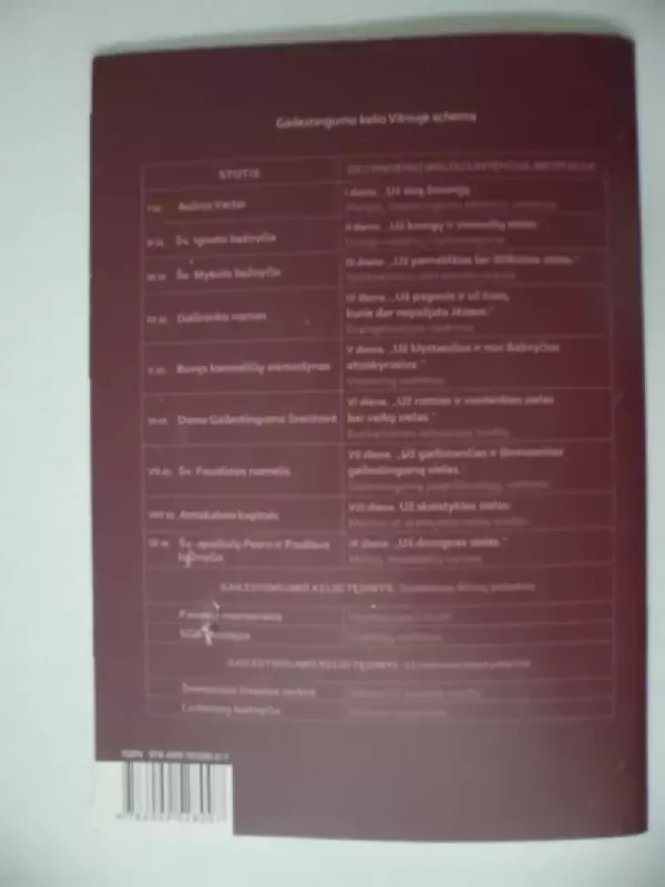 GAILESTINGUMO KELIAS. Šv. Faustinos, pal. Mykolo Sopočkos ir pal. Jono Pauliaus II pėdomis Vilniuje - Jonas Emanuelis, knyga 4