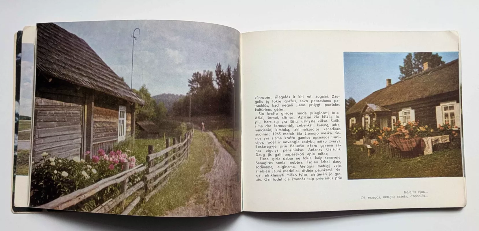 Ignalinos apylinkės - Česlovas Kudaba, knyga 5