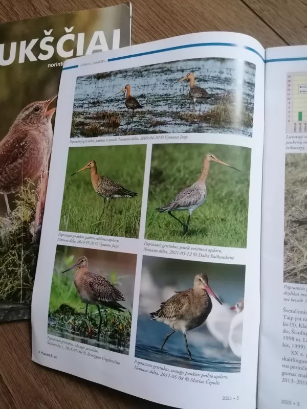 Pauksciai - Autorių kolektyvas, red. L. Kurila, knyga 6