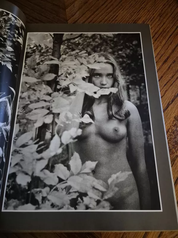 Žiedai tarp žiedų - Rimantas Dichavičius, knyga 5