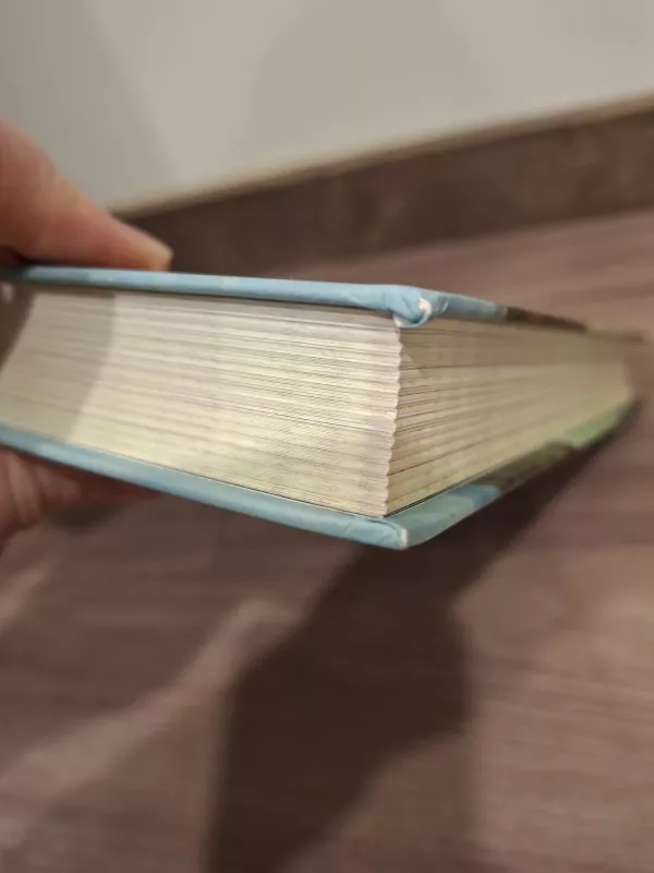 Kelionė į žemės centrą - Žiulis Vernas, knyga 3