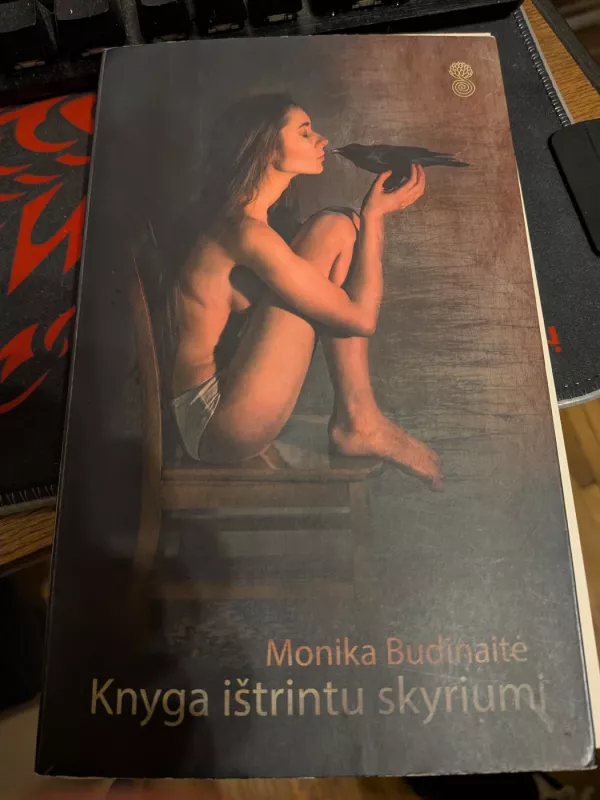 Knyga ištrintu skyriumi - Monika Budinaitė, knyga 3