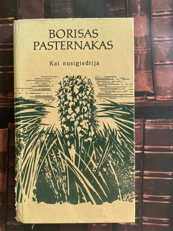 Kai nusigiedrija. Eilėraščiai - Borisas Pasternakas, knyga 2