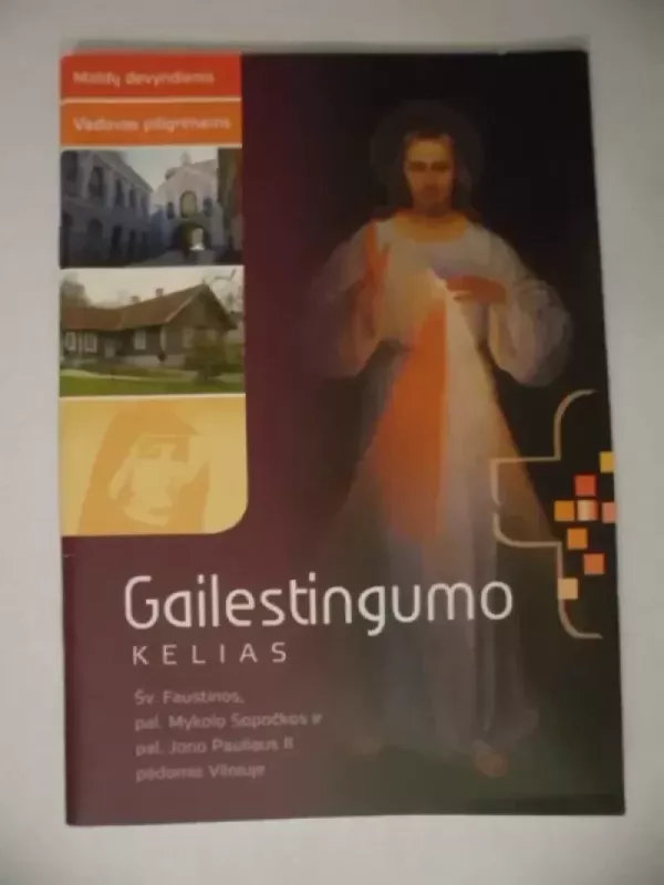 GAILESTINGUMO KELIAS. Šv. Faustinos, pal. Mykolo Sopočkos ir pal. Jono Pauliaus II pėdomis Vilniuje - Jonas Emanuelis, knyga 2