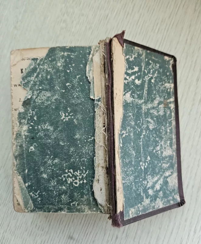 Zdrowaś Marja - Jan Wielicki, knyga 4