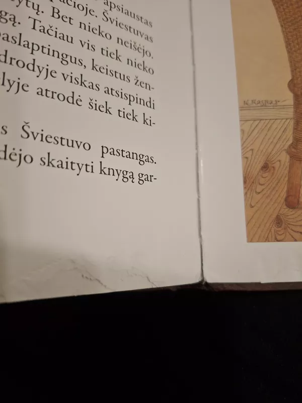 Apie daiktus. Trumpos istorijos - Kęstutis Kasparavičius, knyga 4