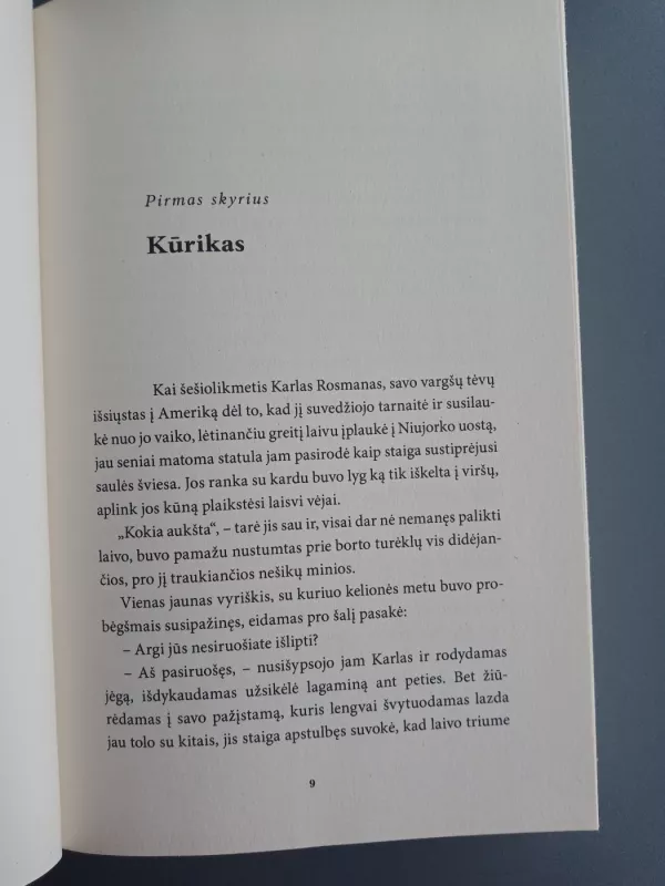 Pražuvėlis (Amerika) - Franz Kafka, knyga 4