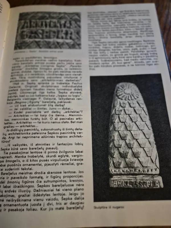 Lionginas Šepka - Zita Žemaitytė, knyga 4