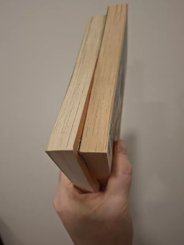 Drakonų kovos kaina už vieną knygą! - Akira Torajama, knyga 3