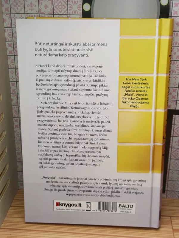 Valytoja - Land Stephanie, knyga 4