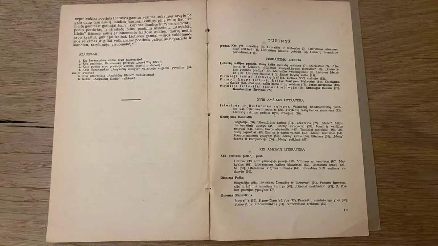 Lietuvių literatūros vadovėlis. I dalis - Melvin Burgess, knyga 4