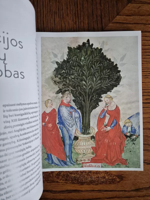 Raudona: spalvos istorija - Michel Pastoureau, knyga 6