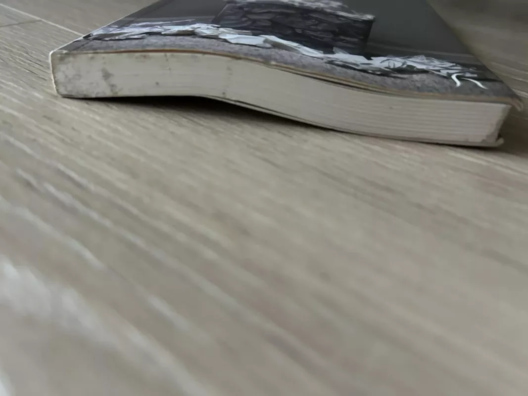 The Idle Thoughts of an Idle Fellow - Jerome K. Jerome, knyga 3