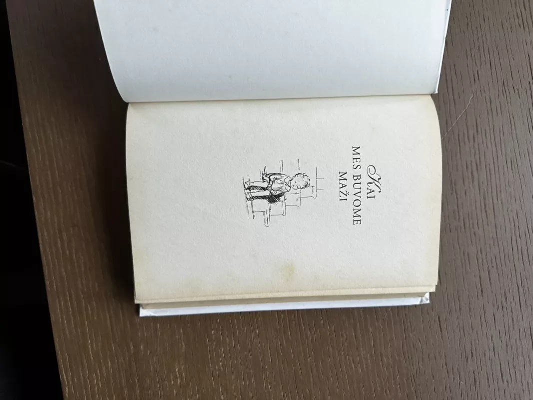 Kai mes buvome maži - A. A. Milne, knyga 4