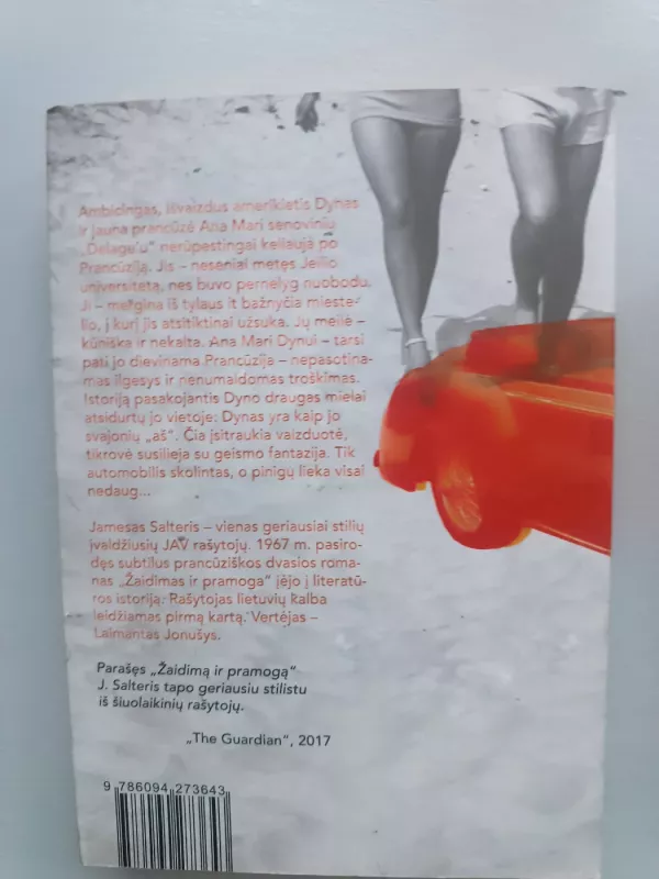 Žaidimas ir pramogos - James Salter, knyga 3