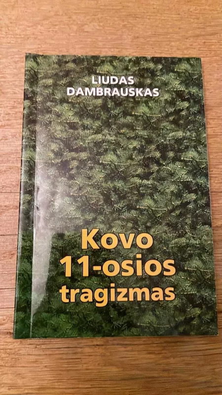 Kovo 11-osios tragizmas - Liudas Dambrauskas, knyga 2