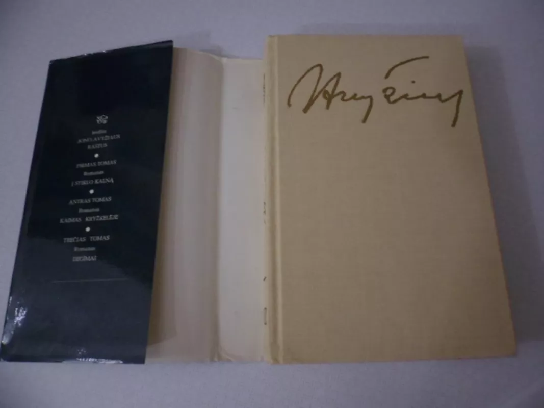 Jonas Avyžius. Raštai VII - Jonas Avyžius, knyga 3