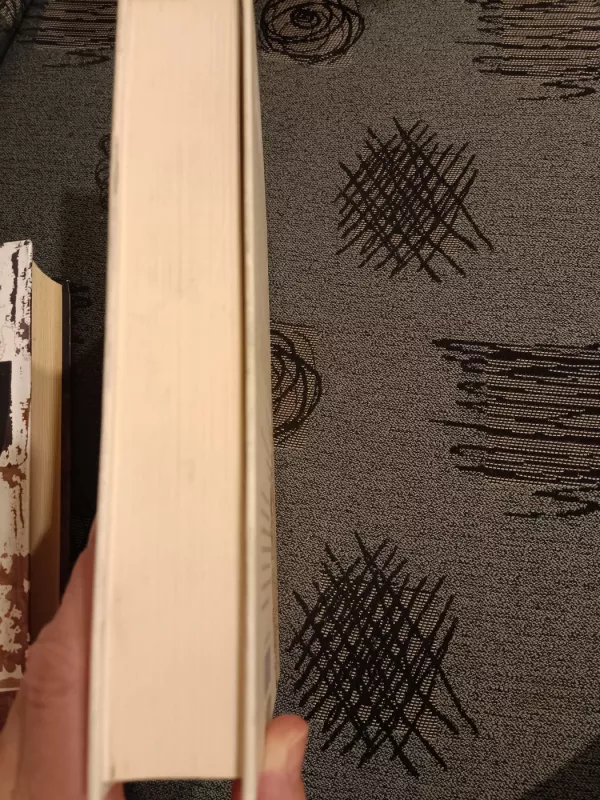 Gerieji žmonės: naujas bestselerio „Paskutinės apeigos“ autorės romanas - Hannah Kent, knyga 3