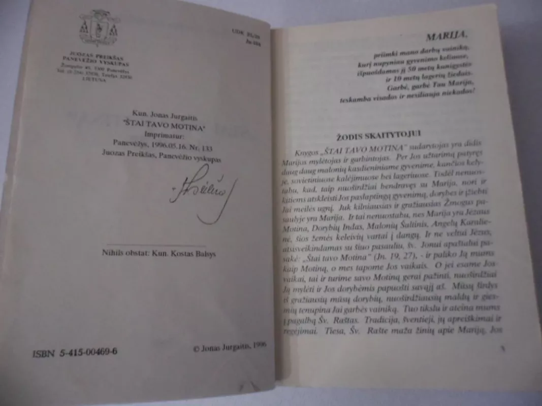 Štai tavo motina - Jonas Jurgaitis, knyga 4