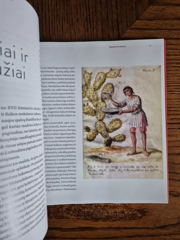 Raudona: spalvos istorija - Michel Pastoureau, knyga 5