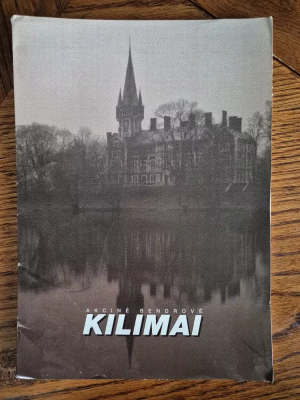 Akcinė bendrovė Kilimai - Akcinė bendrovė Kilimai, knyga 2